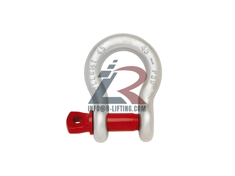 US Type Drop Forged G-209 Screw Pin Bow Shackle