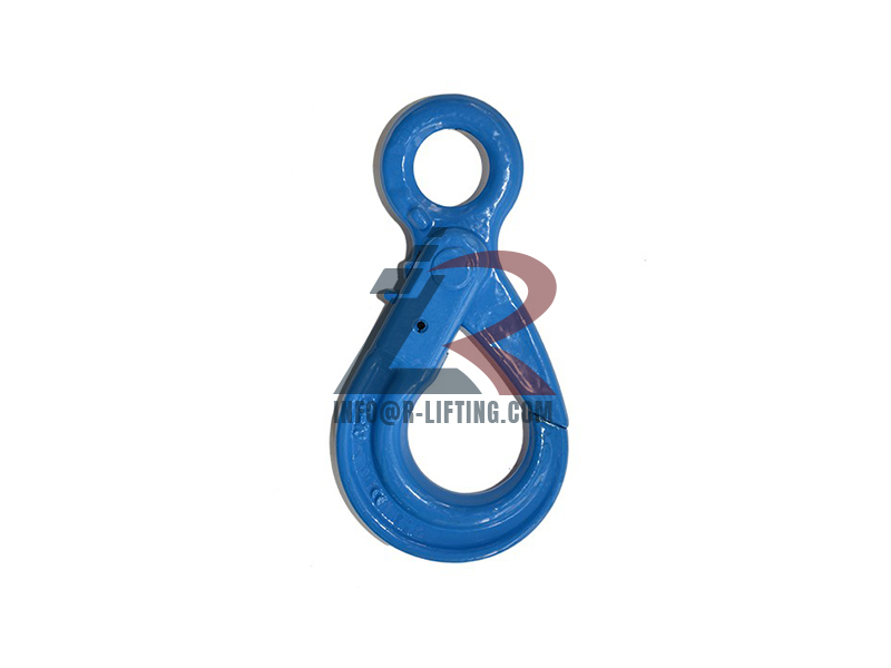 G100 Eye Self Locking Hook