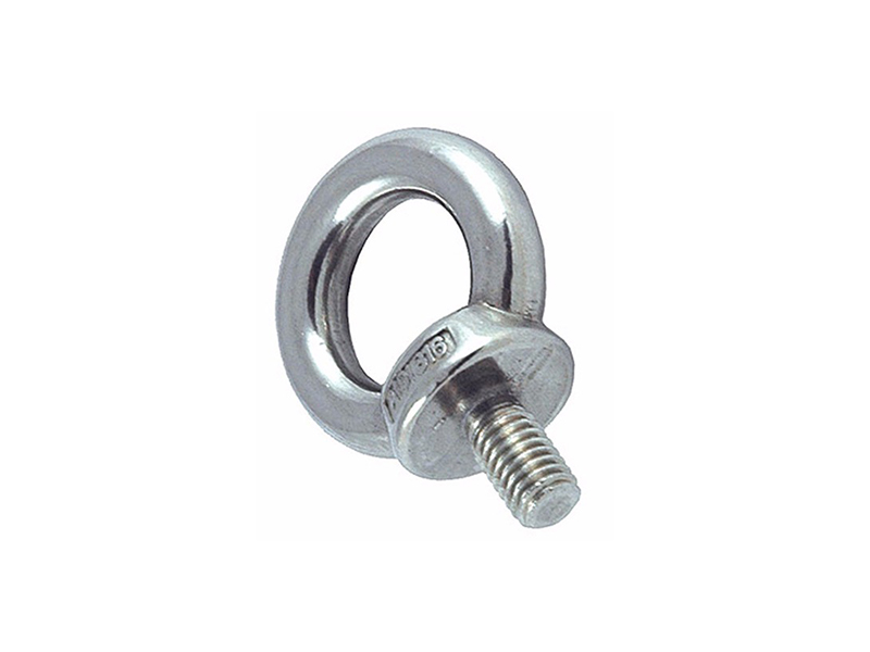 Stainless Steel DIN580 Eye Bolt