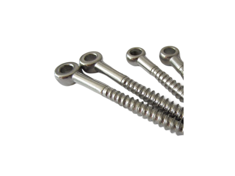 Stainless Steel Lag Eye Screw