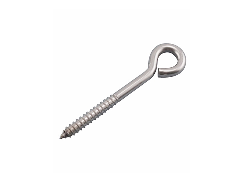 Stainless Steel Lag Eye Bolt