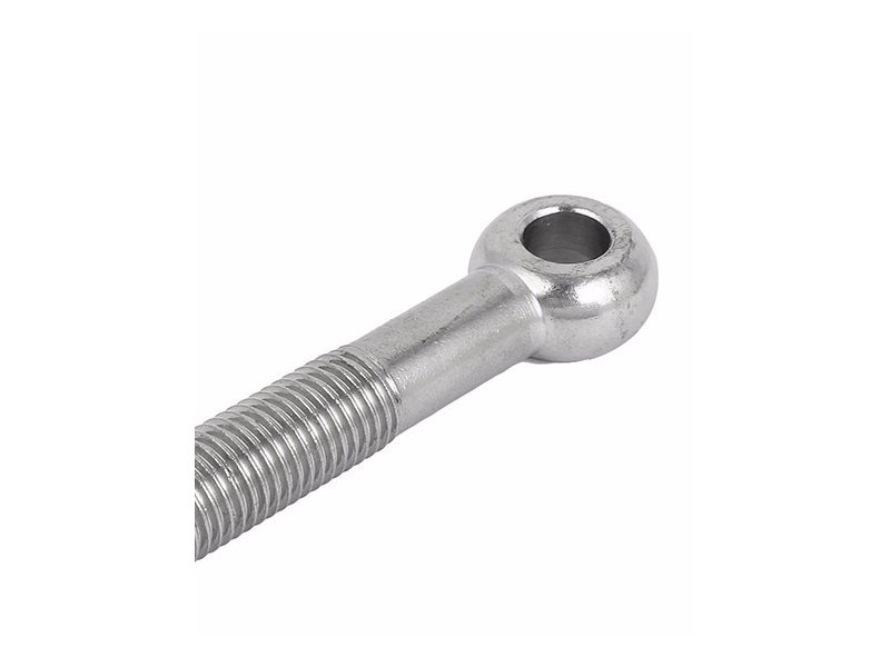 Stainless Steel Swing Eye Bolts